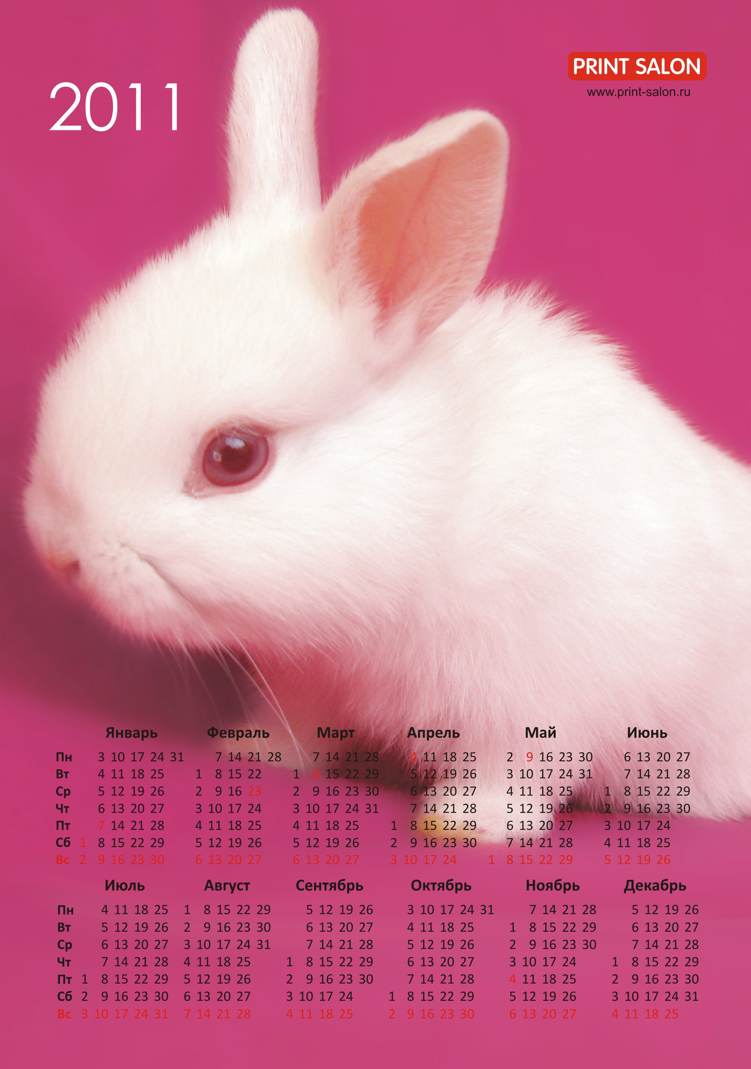 Распечатать календарь с кроликом на 2011 год at Печать на футболках,  шелкография, тампопечать, тиснение, печать на пакетах - пакеты с логотипом..
