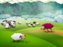 2048x1536 sheep-crazy-animals-pole-sumashedshaya-zhivotnyie-ovtsa