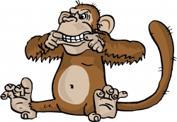 Monkey, прикольная картинка в PNG