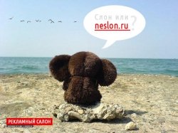 Neslon.ru -   