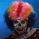   clown 24
