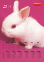 календарь с кроликом на 2011 год. можно распечатать